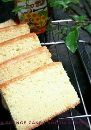 Foto resep Castella Traditional Japanese Honey Sponge Cake aka Kasutera