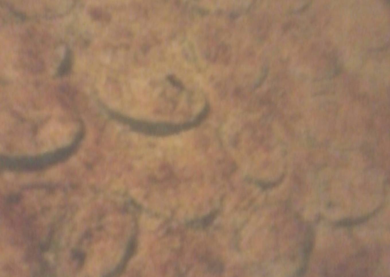 Beef Casserole with Jalapeno Poppers