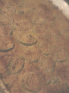 A picture of Mins Jalapeno Popper Casserole.