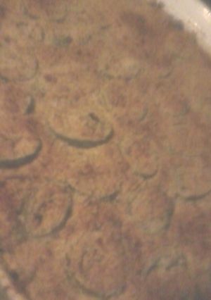 A picture of Mins Jalapeno Popper Casserole.