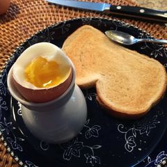 A picture of Instant Pot Boiled Eggs - Hard or Soft.