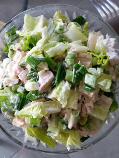 A picture of Green Chicken Salad.