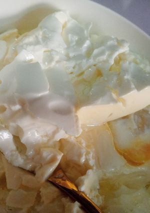 A picture of HOMEMADE YOGHURT STARTED/CULTURE.