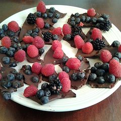 A picture of Fresh Fruit Berrie Bark.