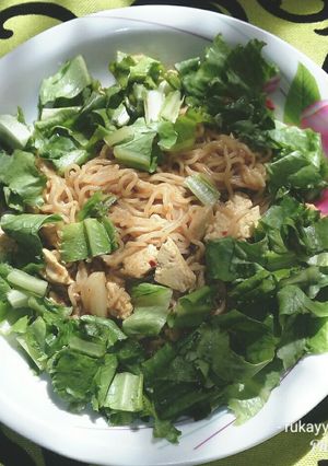A picture of Noodles with tofu and lettus.