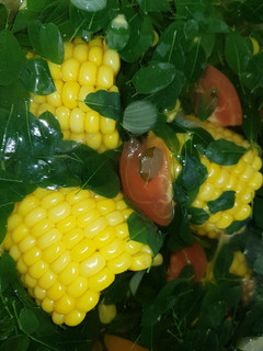 Foto resep Sayur bening daun kelor