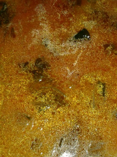 Foto resep Sayur lodeh labu tahu