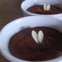 A picture of Chocolate Mousse with Brown Rice Amazake.