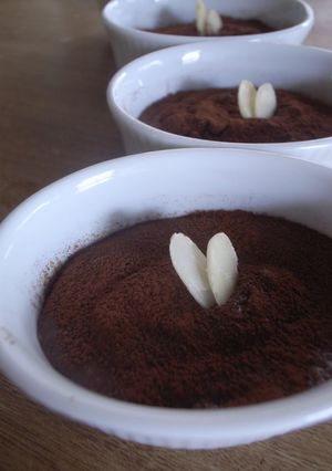 A picture of Chocolate Mousse with Brown Rice Amazake.