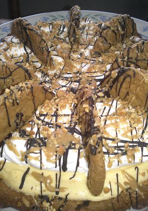 A picture of Easy Peanut Butter-Chocolate Chip Pie.
