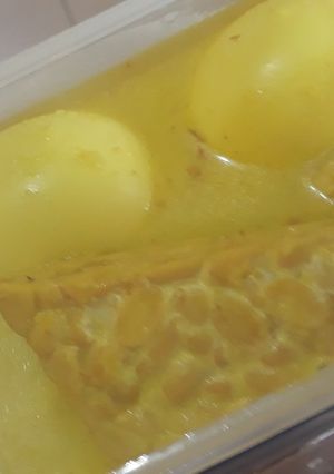 Foto resep Terik Telur Tahu Tempe