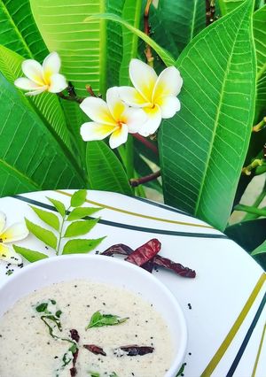 सूखे नारियल की चटनी (sukhe nariyal ki chutney recipe in hindi) रेसिपी मुख्य फोटो