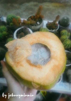 รูปของ 🌴วุ้นในลูกมะพร้าว🌴