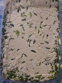 عکسی از دستور حلوا ارده خونگی