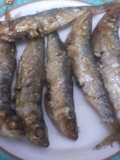 Sardinillas al horno