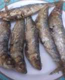 Sardinillas al horno