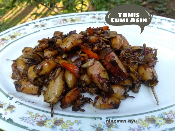 Cara Mudah Membikin Resep  Cumi Asin Pedas Manis yang Lezat, Sempurna
