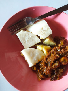 A picture of Garden egg sauce.