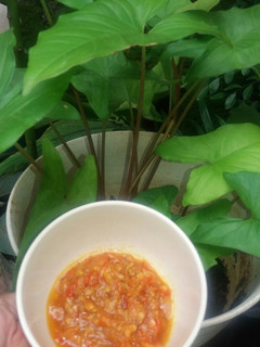 Foto resep Sambal Bawang 😍