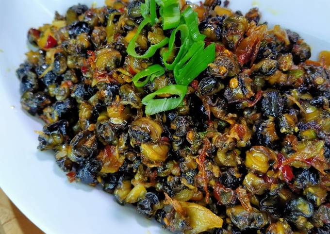 Kerang sawah gurih manis pedas (kol)