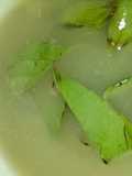 Mojito de jarabe de té verde y clavo de olor estilo DULZAL
