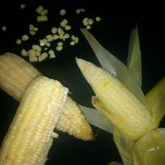 A picture of Boiled corn.