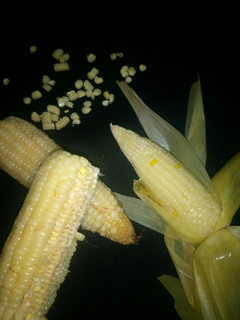 A picture of Boiled corn.