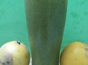 Gambar olahan buah sayur kelor