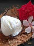 ટેન્ડર કોકોનટ આઇસક્રીમ(Tender coconut ice cream In Gujrati)