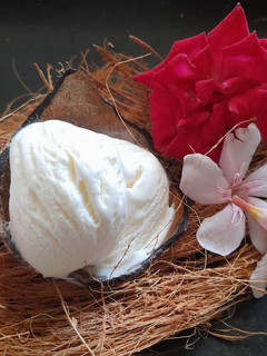 ટેન્ડર કોકોનટ આઇસક્રીમ(Tender coconut ice cream In Gujrati) રેસીપી મુખ્ય ફોટો