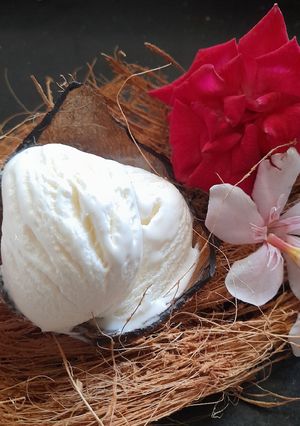 ટેન્ડર કોકોનટ આઇસક્રીમ(Tender coconut ice cream In Gujrati) રેસીપી મુખ્ય ફોટો