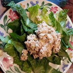 Sweet Chicken Salad A picture of Sweet Chicken Salad.