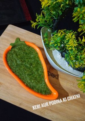 A picture of Keri aur podina ki chatni.