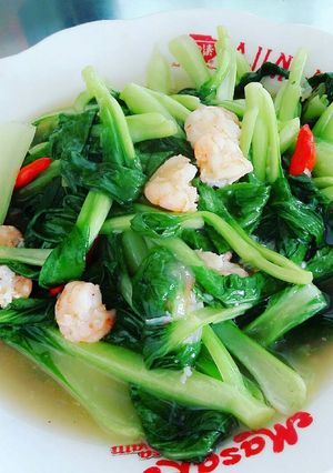 Foto resep Sawi Pendek (Baby Pok Choi)