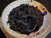 Gambar kodok hijau