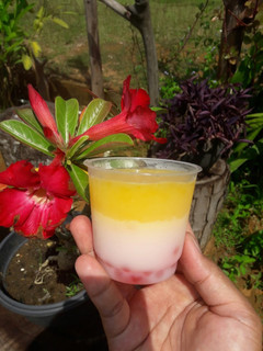 Foto resep Puding sago mango