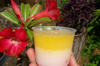 Resep Puding sago mango yang Bisa Manjain Lidah