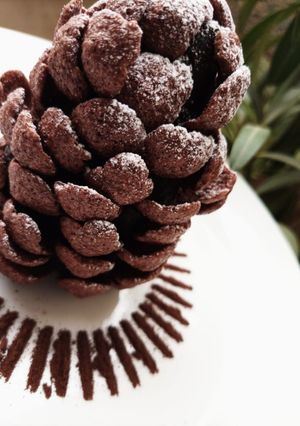 A picture of Choco pine.