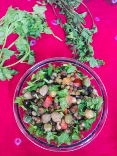 મીક્ષ કઠોળ સલાડ (Mix Kathol Recipe In Gujarati) રેસીપી મુખ્ય ફોટો
