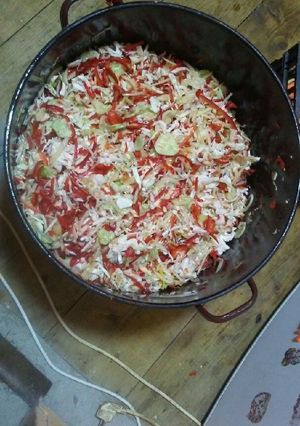 Csalamádé recept fotója