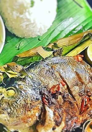 A picture of Thai Sea Bream.