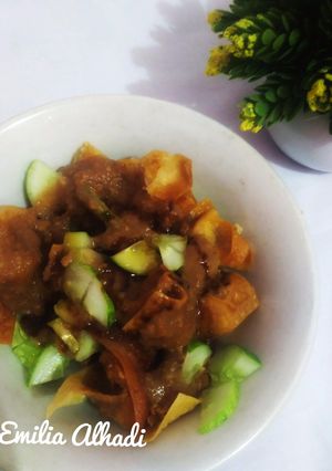 Foto resep Batagor ayam
