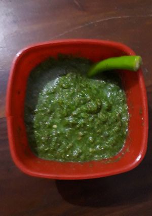 A picture of Tikhi green chutney.