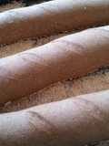 Spelt sourdough baguette