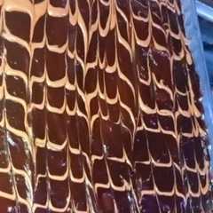 كيك الشكولاته-レシピのメイン写真