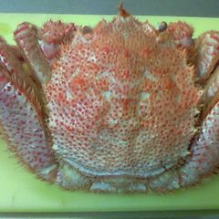How To Shell a Hair Crab A picture of How To Shell a Hair Crab.