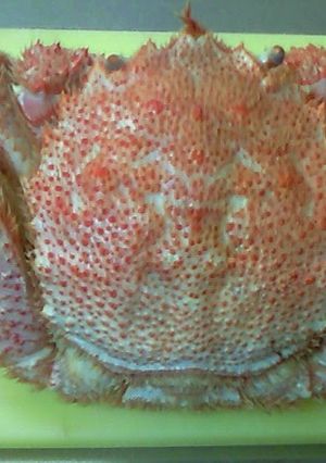 A picture of How To Shell a Hair Crab.
