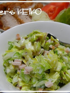 A picture of [Farmhouse Recipe] Coleslaw.