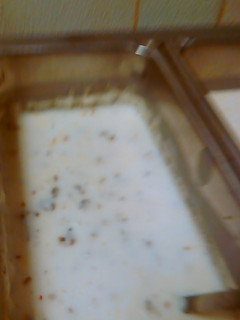 A picture of Sausage gravy.