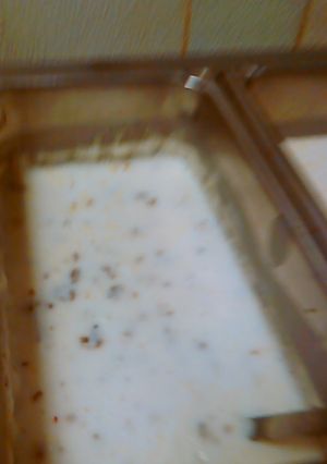 A picture of Sausage gravy.